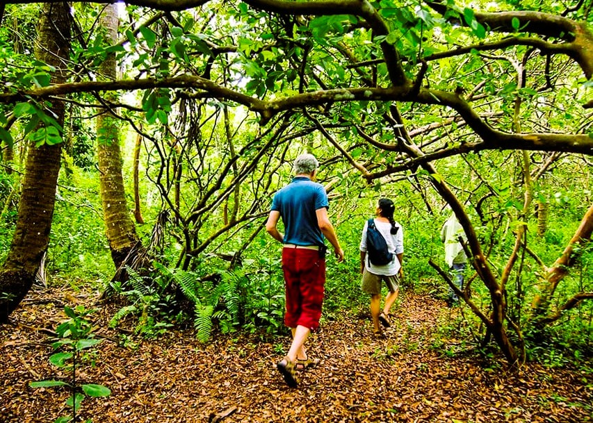 Jozani Forest Tour Image 3