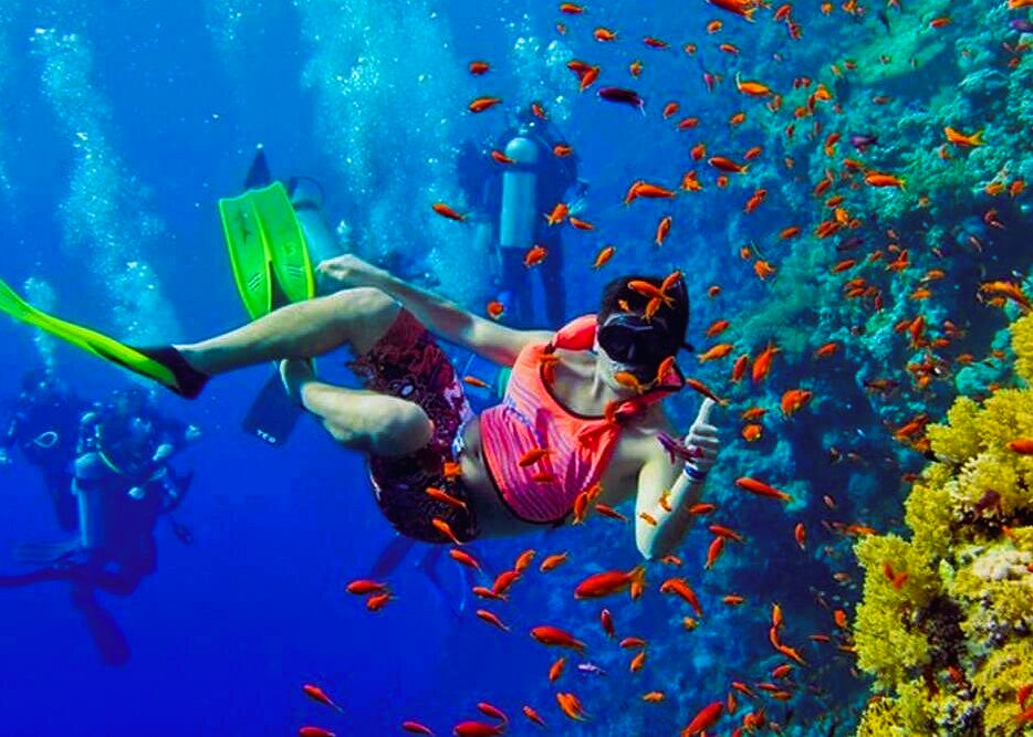 Full Day - Pungu and SandBank Tours