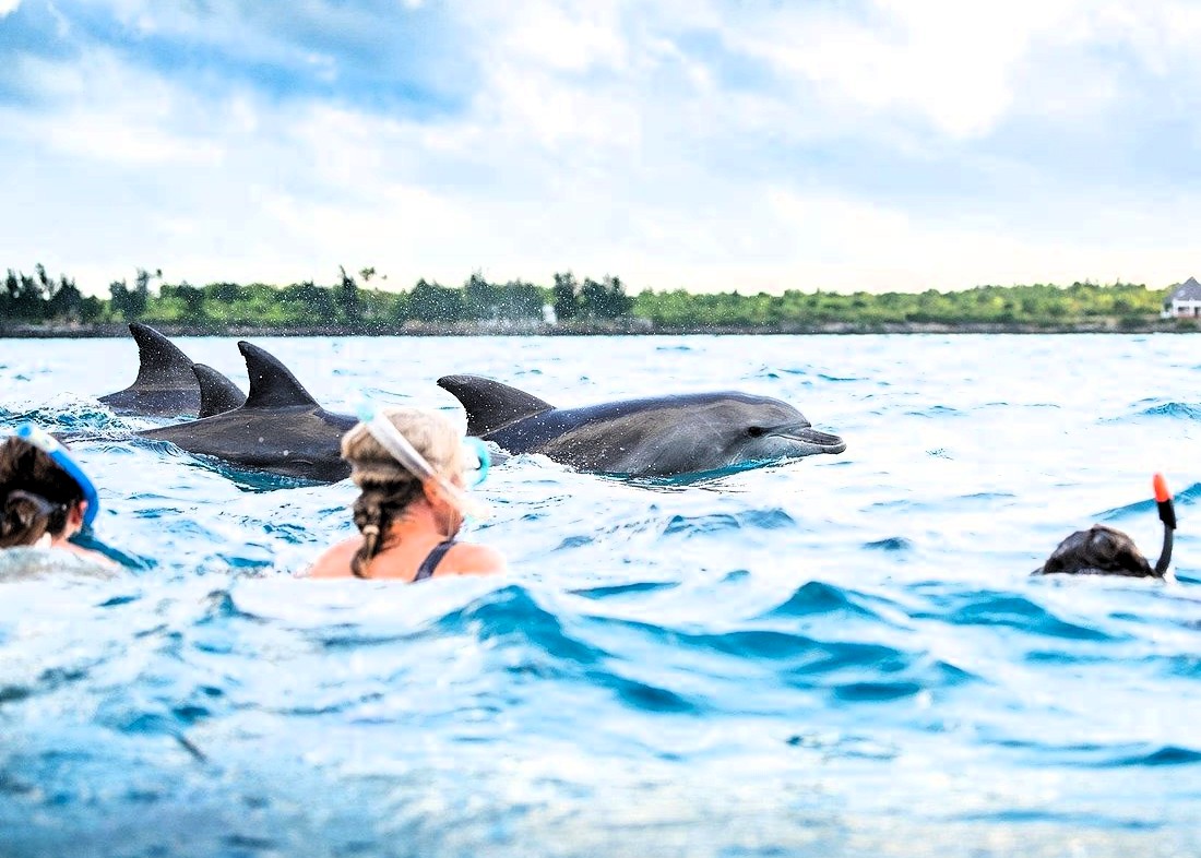 Kizimkazi Dolphin Tour