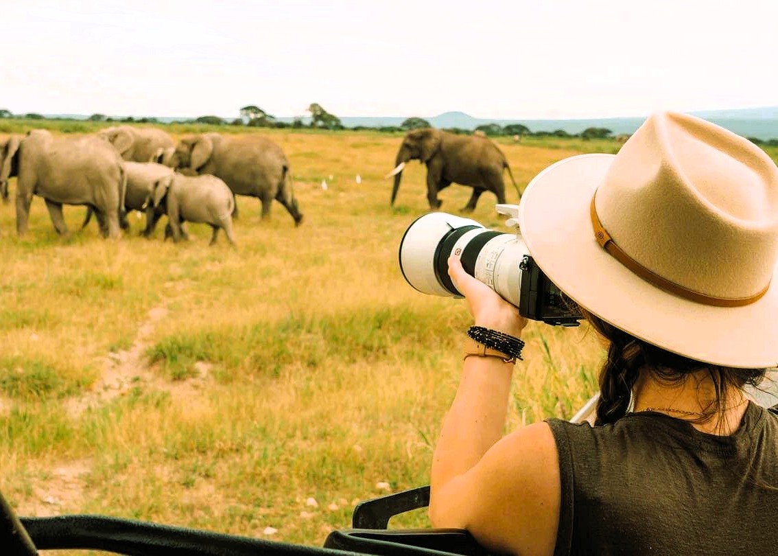 1 Day Safari to Mkomazi National Park