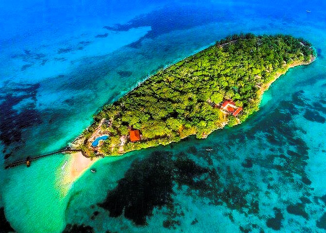 Giant Aldabra tortoises on Prison Island