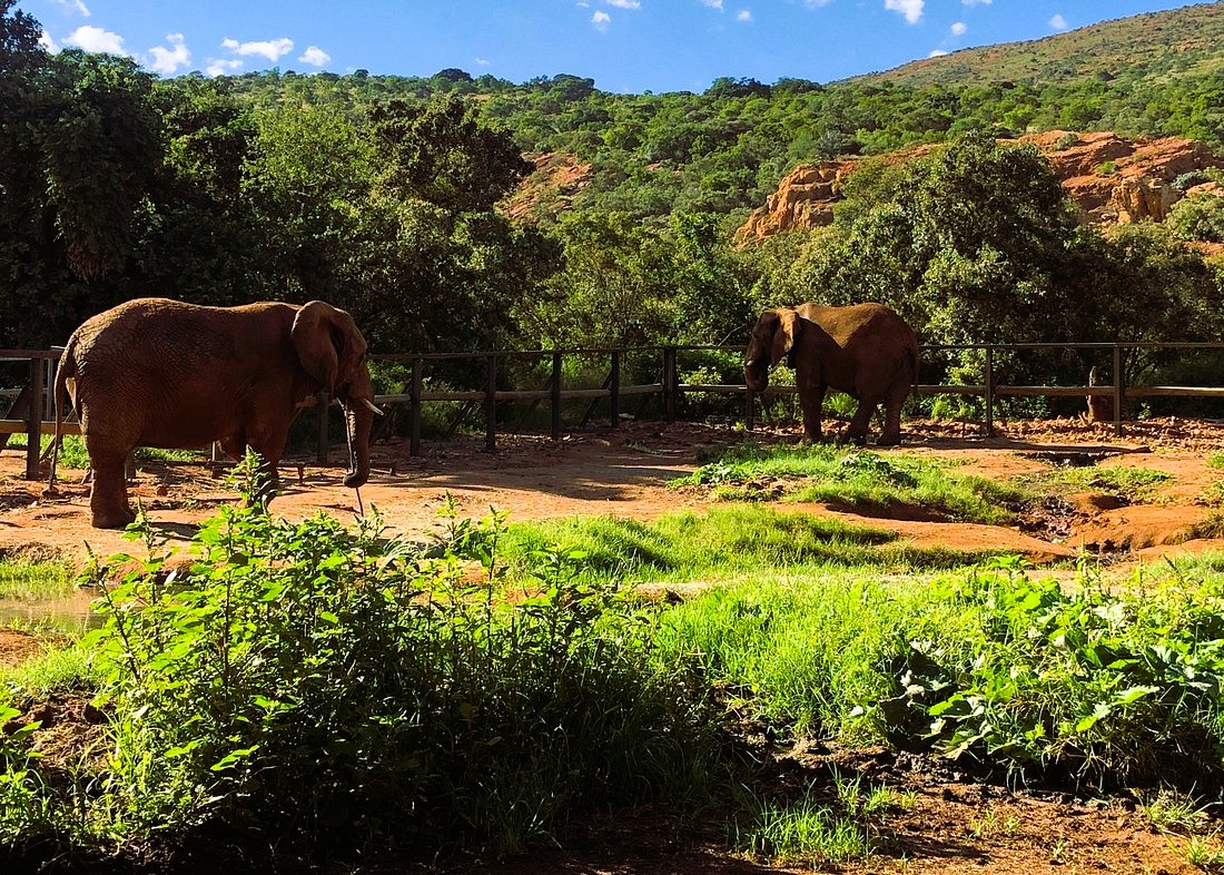 3 Days Serengeti & Ngorongoro Safari