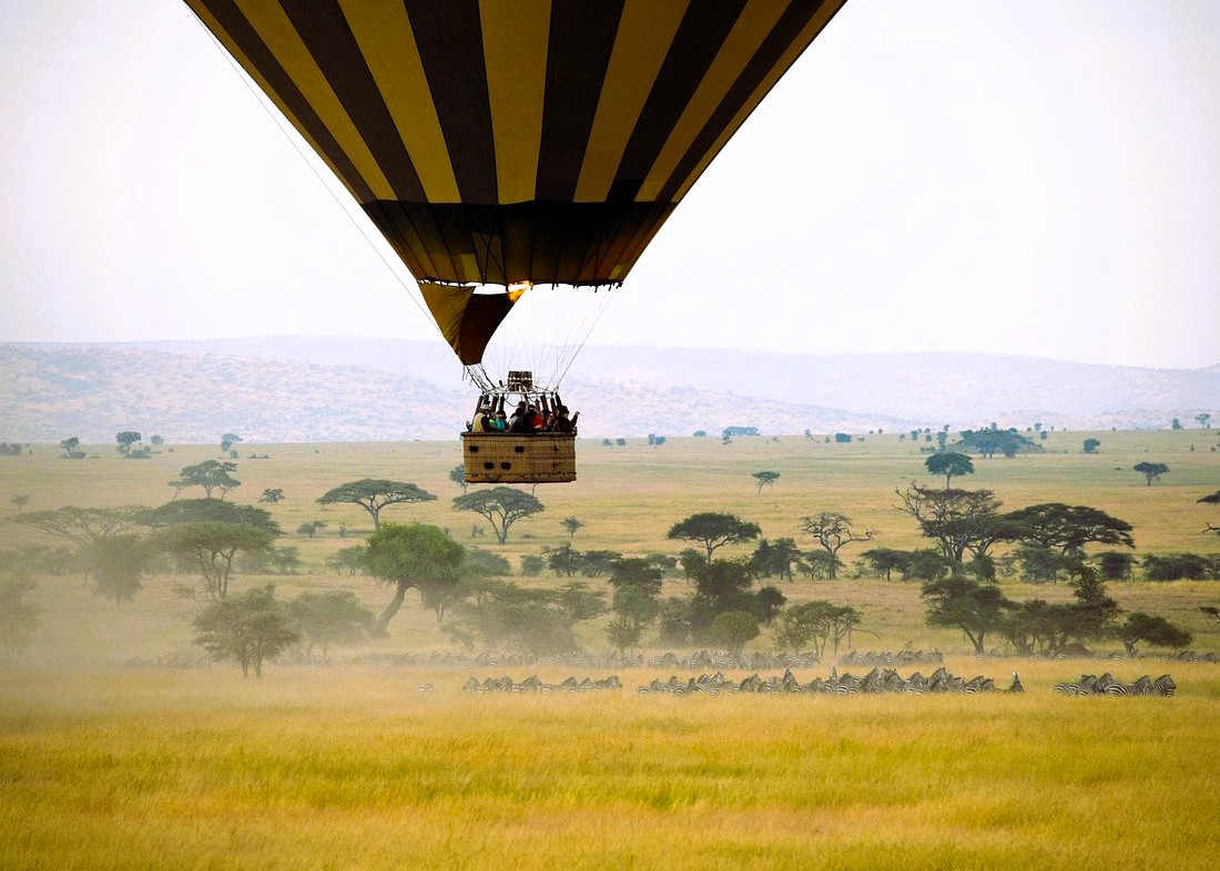 2 Days Serengeti Wildlife Safari