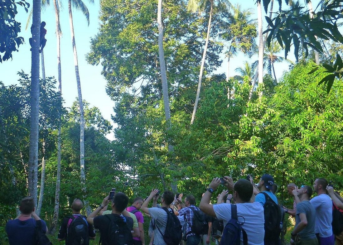 Tour Guides