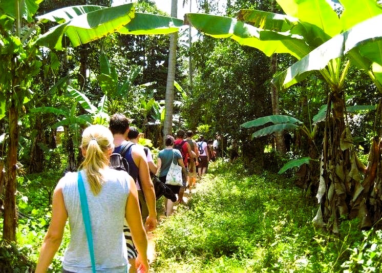 Spice Farm Tour