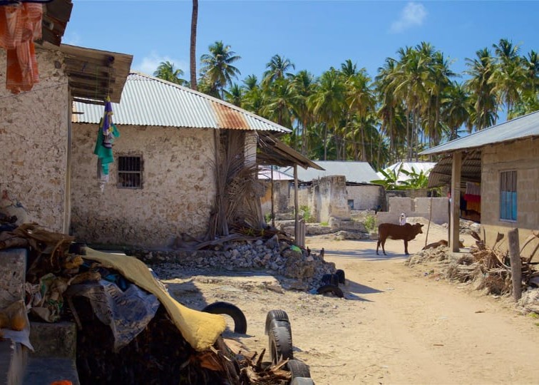 Traditional Zanzibar Village Tour Scene with Locals